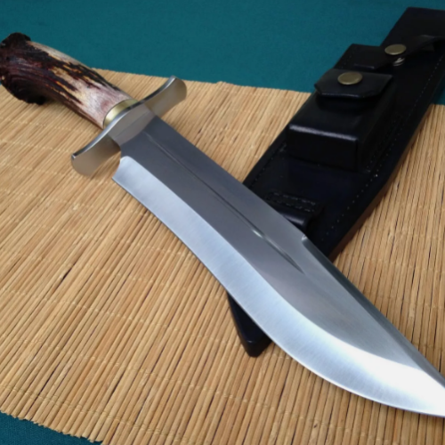 CUSTOM HANDMADE D2 TOOL STEEL HUNTING BOWIE KNIFE SURVIVAL KNIFE WITH STAG HORN