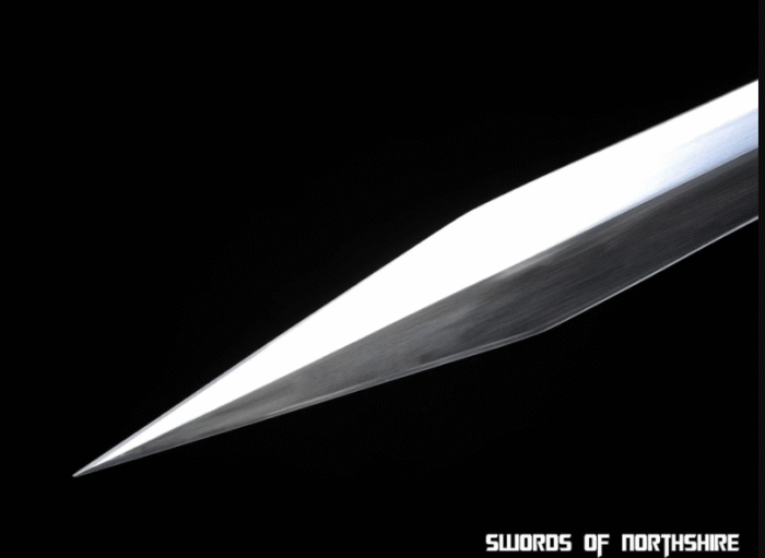 Roman Gladius Short Sword