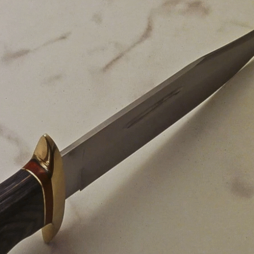 Hunting BOWIE Knife