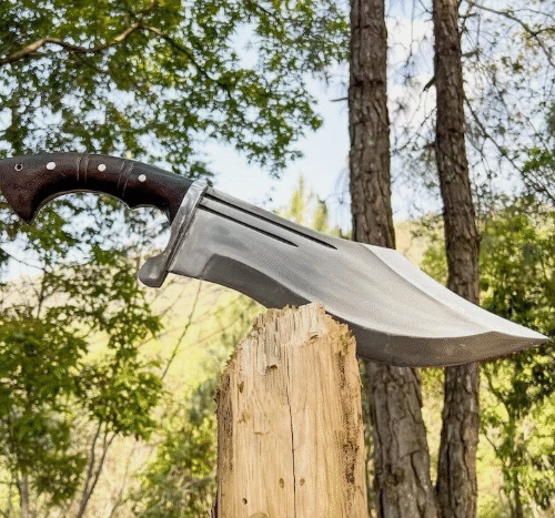 Tactical Bowie Knife