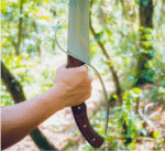 Carbon Steel Viking Sword