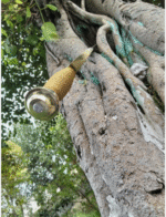 Clash Of Titans Sword