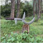 Hunga Munga Mambele Knife Carbon Steel Blade