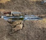 Machete Sword