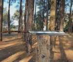 Machete Sword