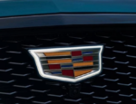 GM OEM emblems