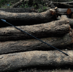 Medieval Spartan Spear