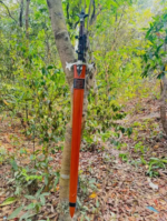 Survival Viking Sword