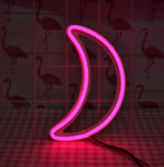 Moon Neon Lights