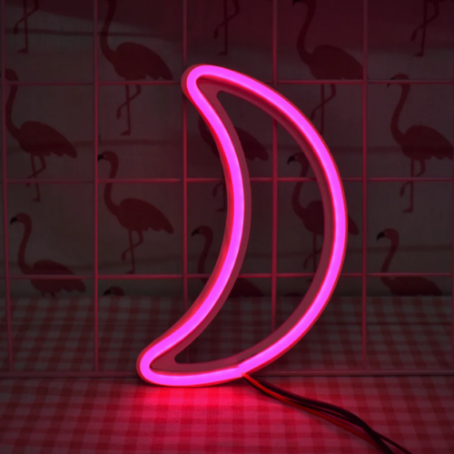 Moon Neon Lights