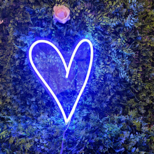 Heart Shaped LED Lights