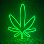 Hemp Leaf LED Light