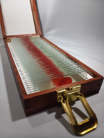 Dexter Morgan Blood slide Box Resurrection