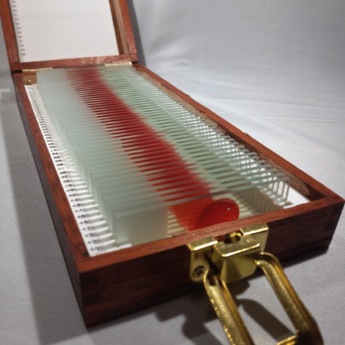 Dexter Morgan Blood slide Box Resurrection