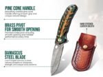Folding Knife