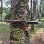 Machete Hunting Knife