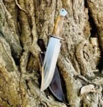 Spring Steel Bowie Knife