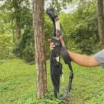 Black Cobra Bowie Knife