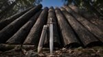 Medieval Knights Templar Long Sword