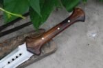 Roman Gladius Sword